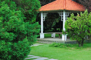 St Pauls College